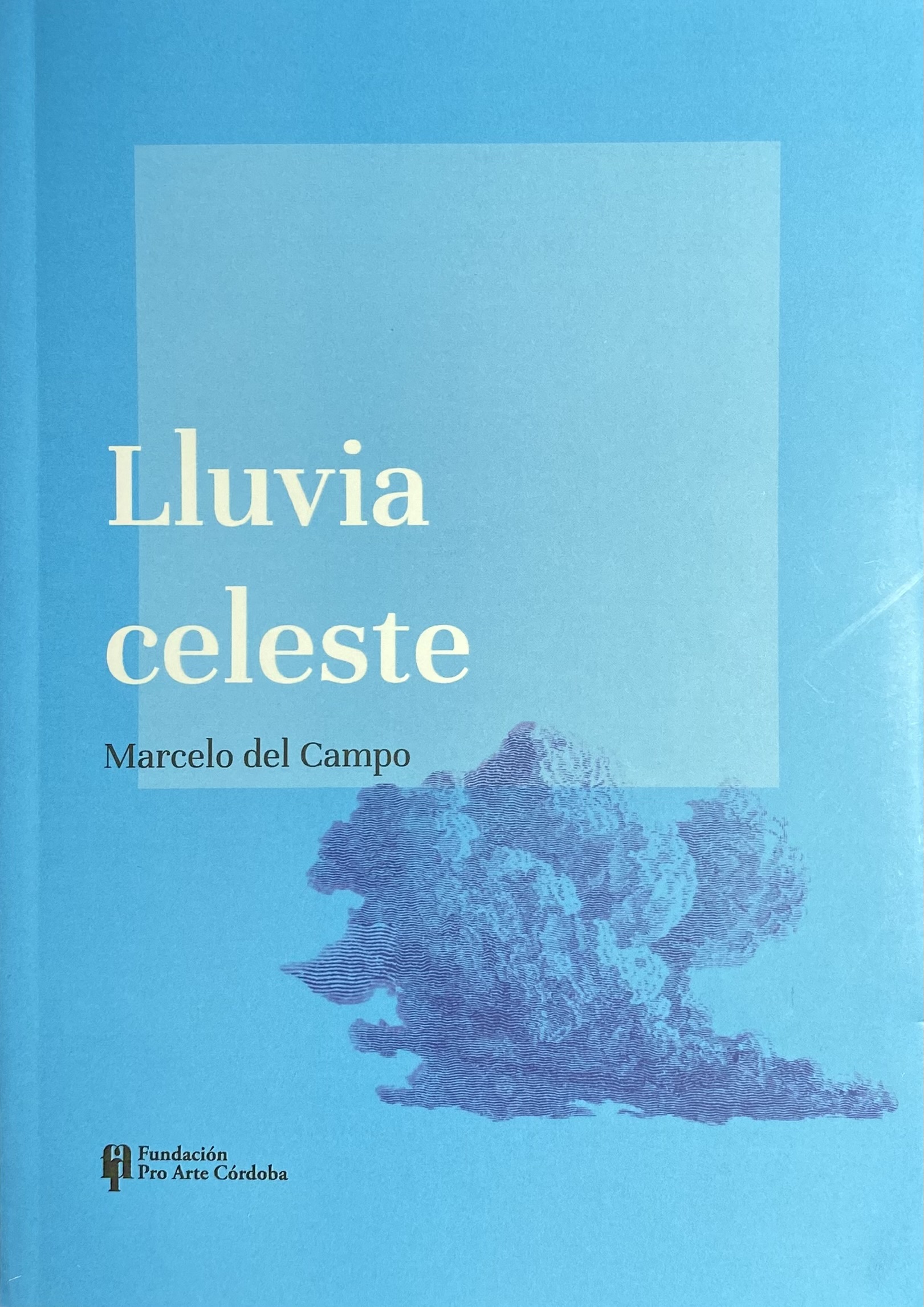 Libro Lluvia celeste